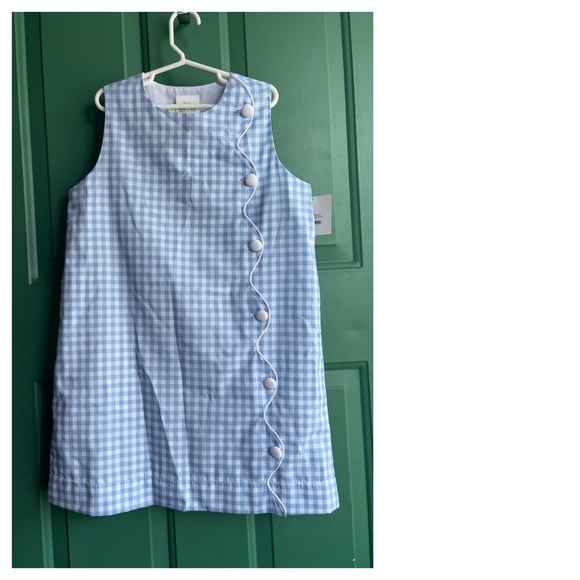 NEW size 10 Mint Magnolia Sara Shift Ballantyne BLue gingham - Picture 1 of 7
